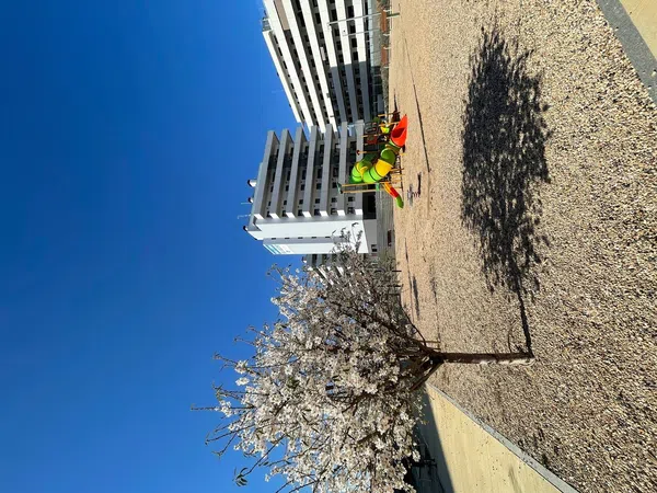 Piso en La Catalana - Foto 36