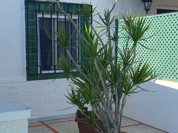 Chalet pareado en Calle pleamar s/n - Foto 11