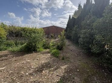 Finca rústica en  Calle Pozo Nuevo 8D - Foto 8