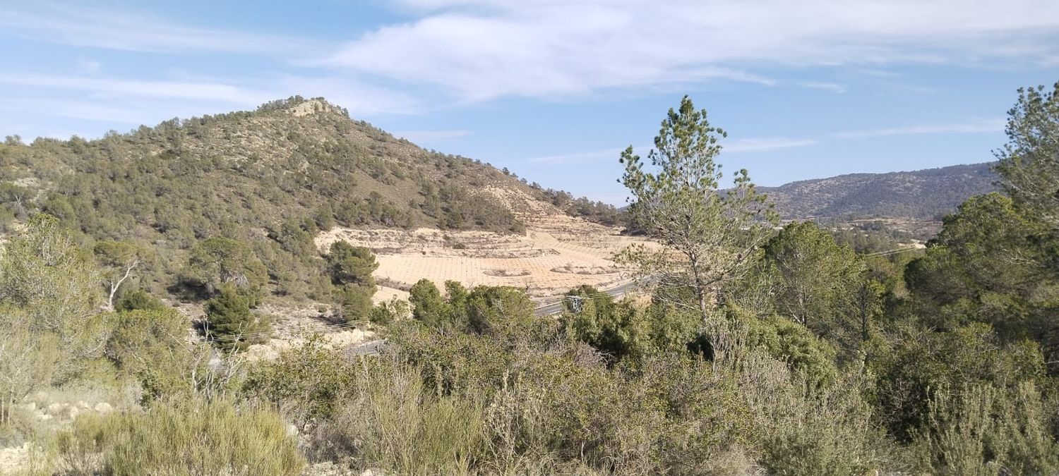Finca rústica en La Zarza s/n - Foto 4