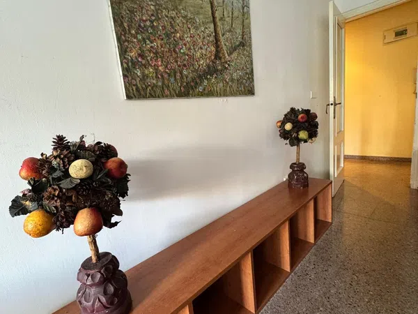 Piso en Barrio Pont Nou-Corazón de Jesús - Foto 5