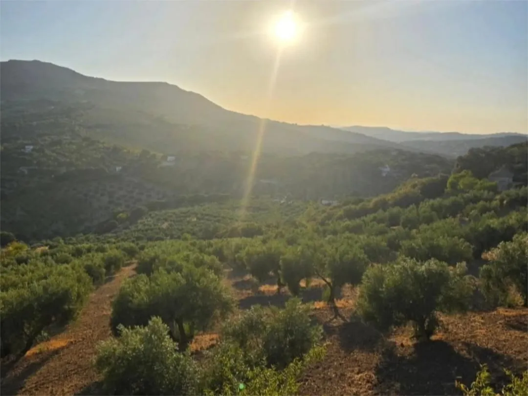 Finca rústica en  Calle García Lorca 34 - Foto 12
