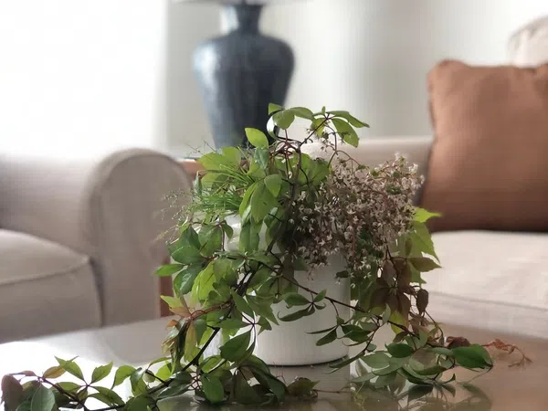 Piso en calle Luis Fuentes Bejarano, 1 - Foto 3