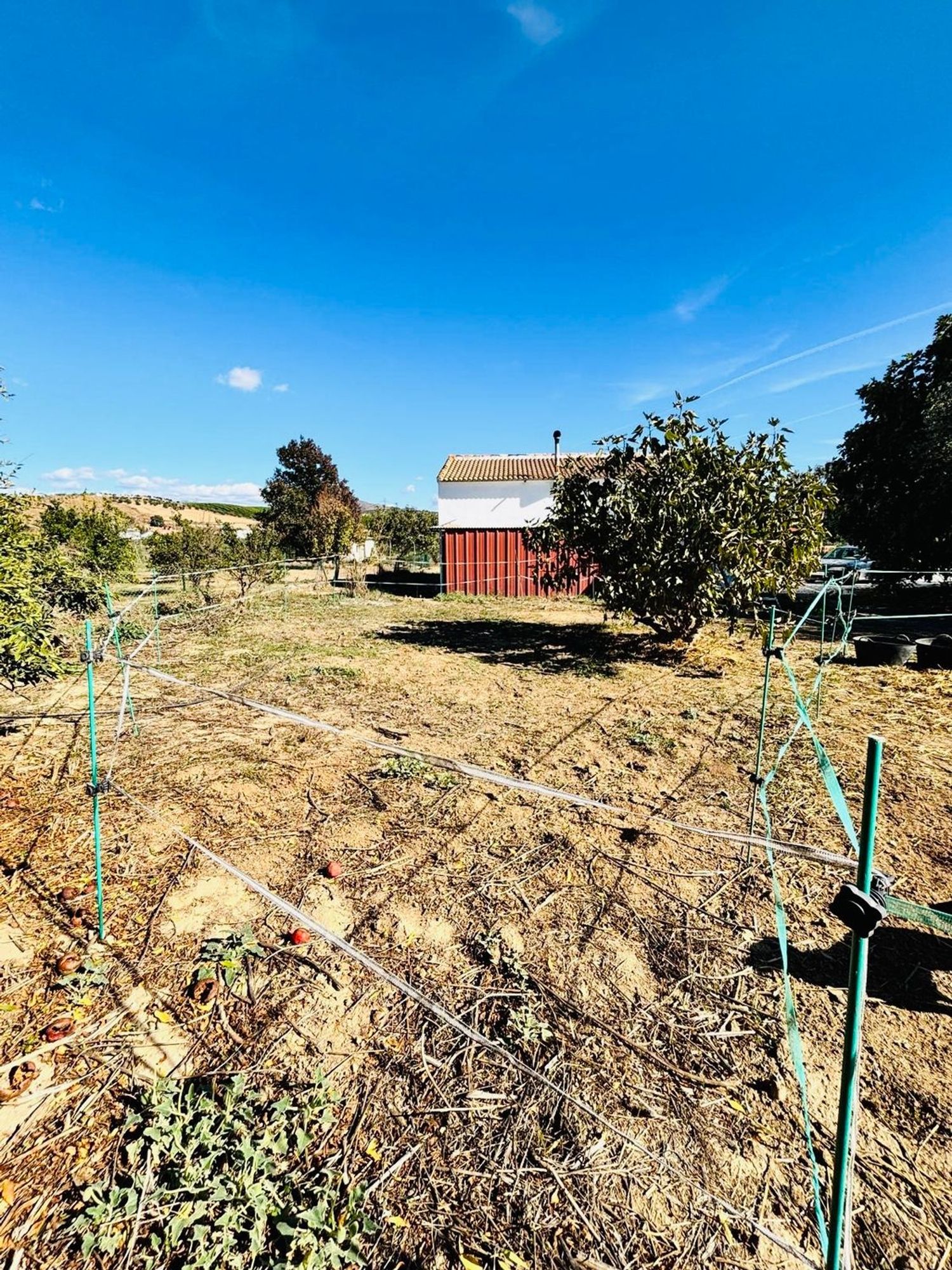 Finca rústica en Diseminado Poligono, 38 - Foto 7