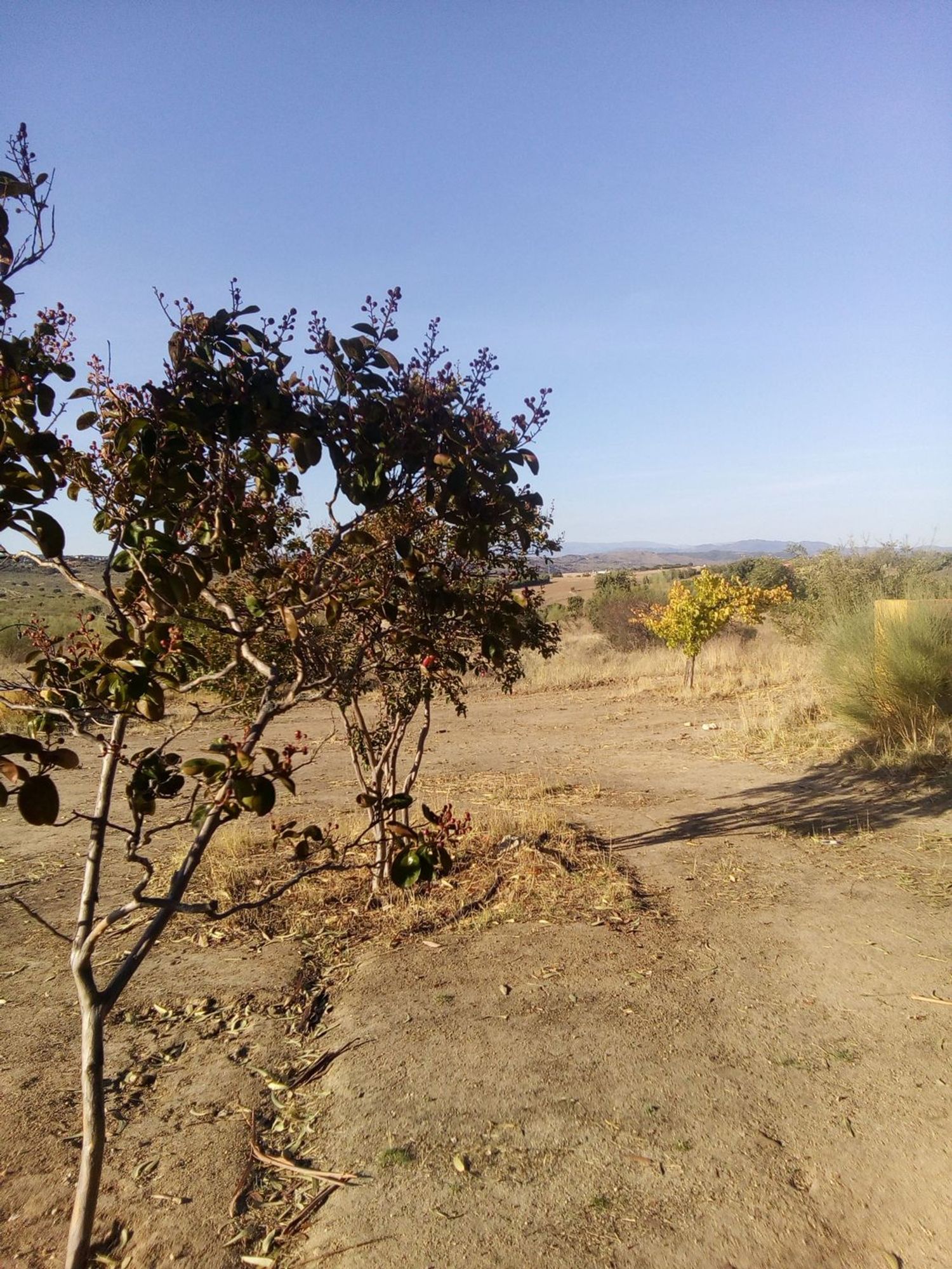 Finca rústica en camino de las laderas, 45 - Foto 19