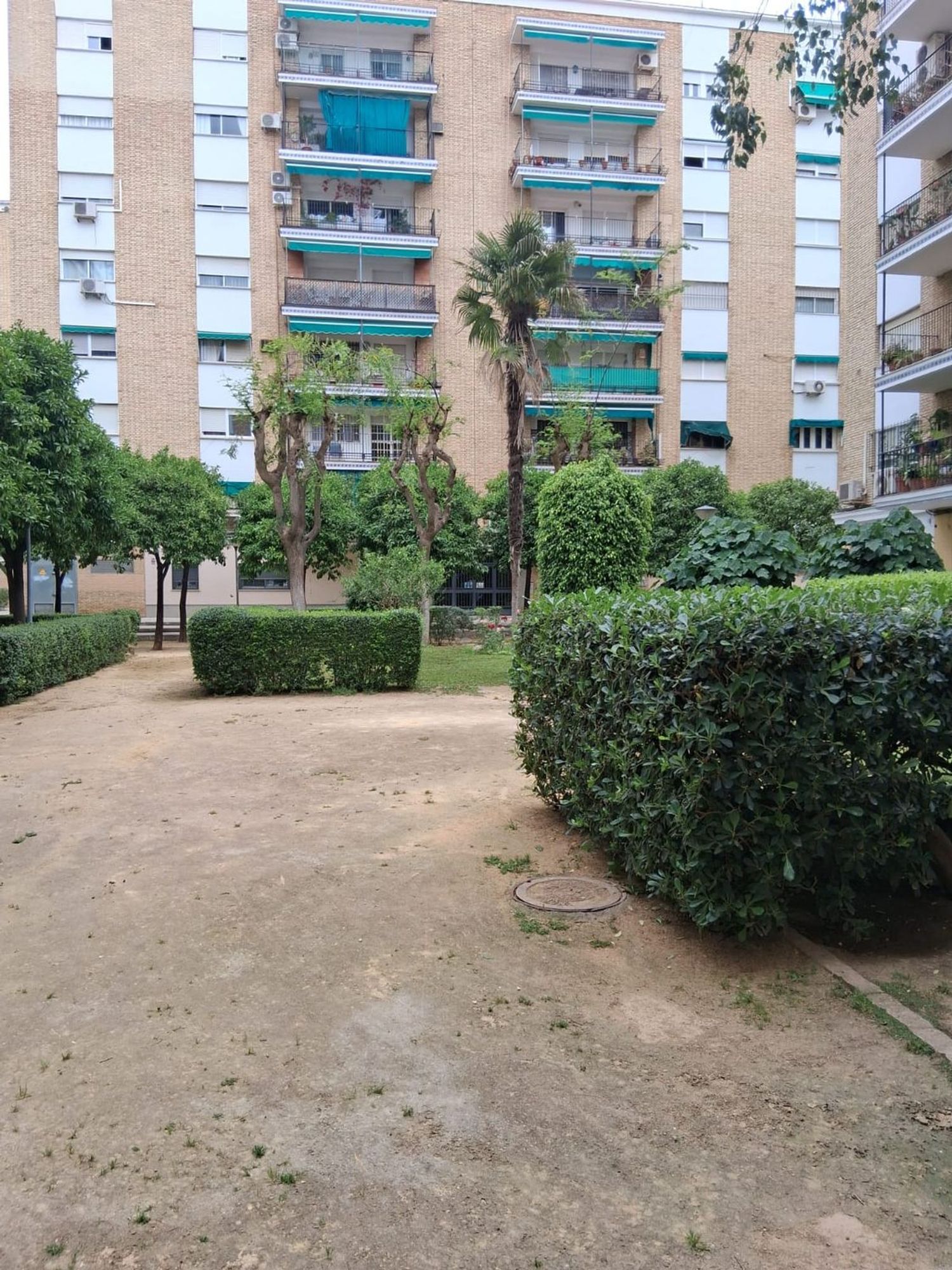 Piso en Plaza Doctor González Gramage, 4 - Foto 5