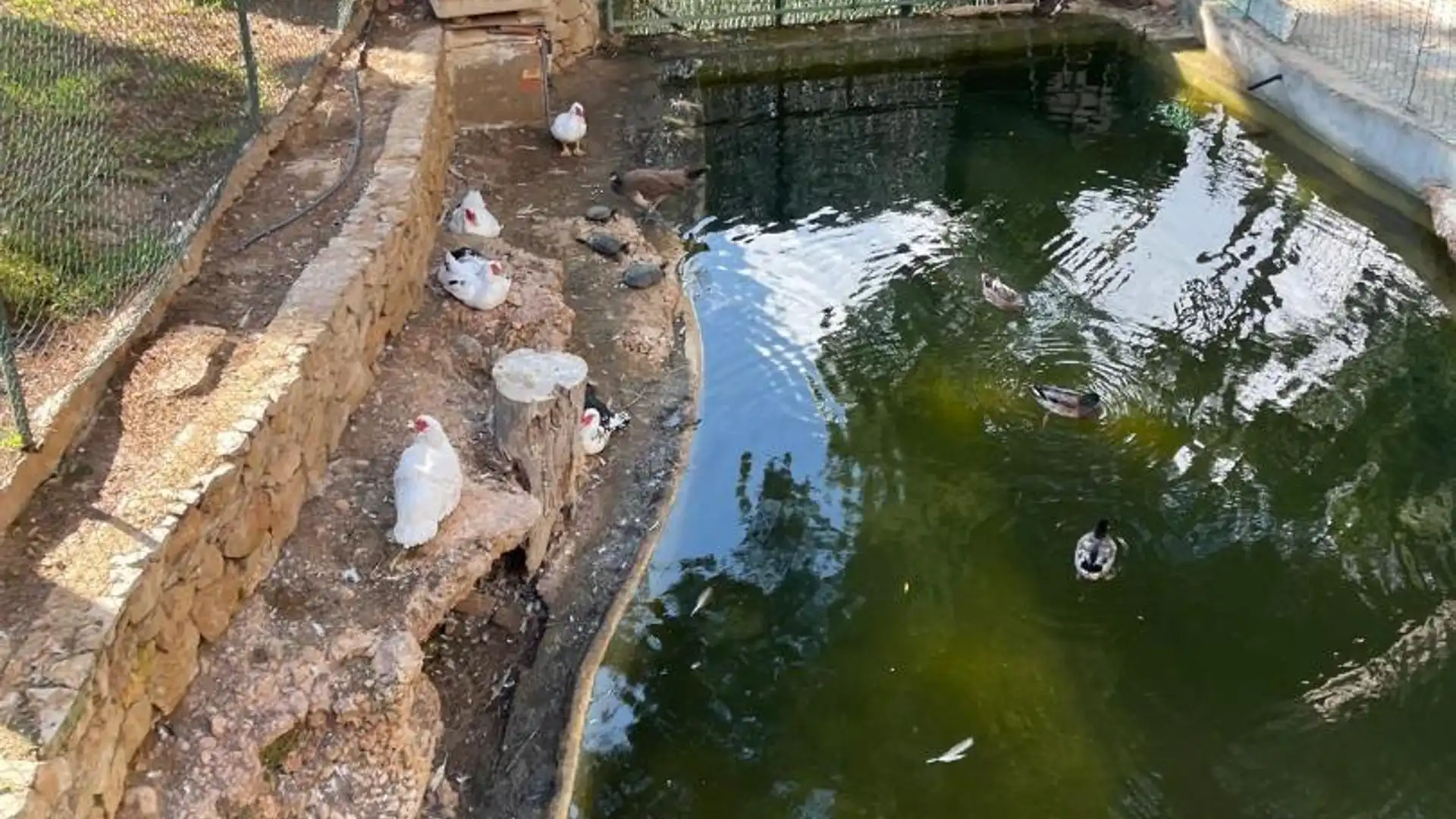 Piso en  Avenida de París 14 - Foto 7