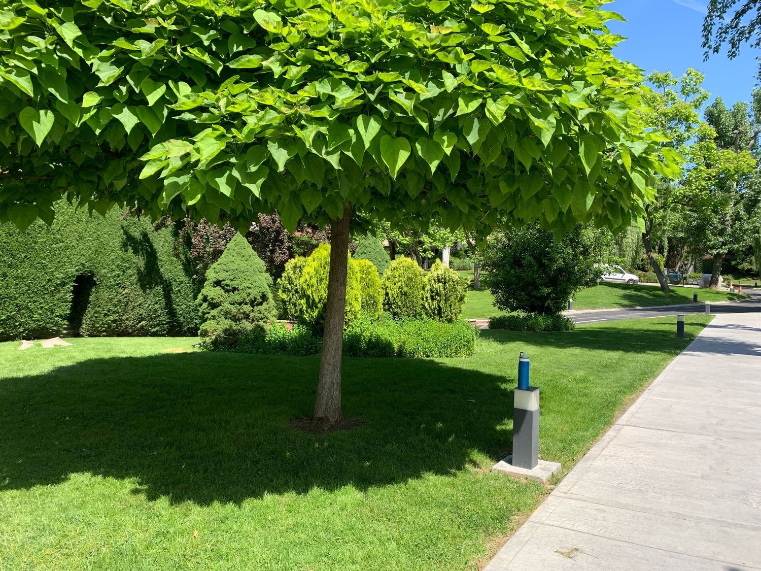 Piso en Prado de Somosaguas - Foto 31