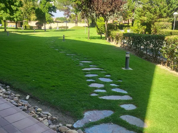 Ático en Zona Carretera del Plantío, Zona Carretera del Plantío - Foto 40