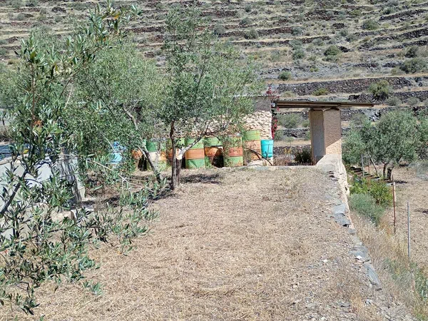Cortijo en barranco s/n - Foto 12