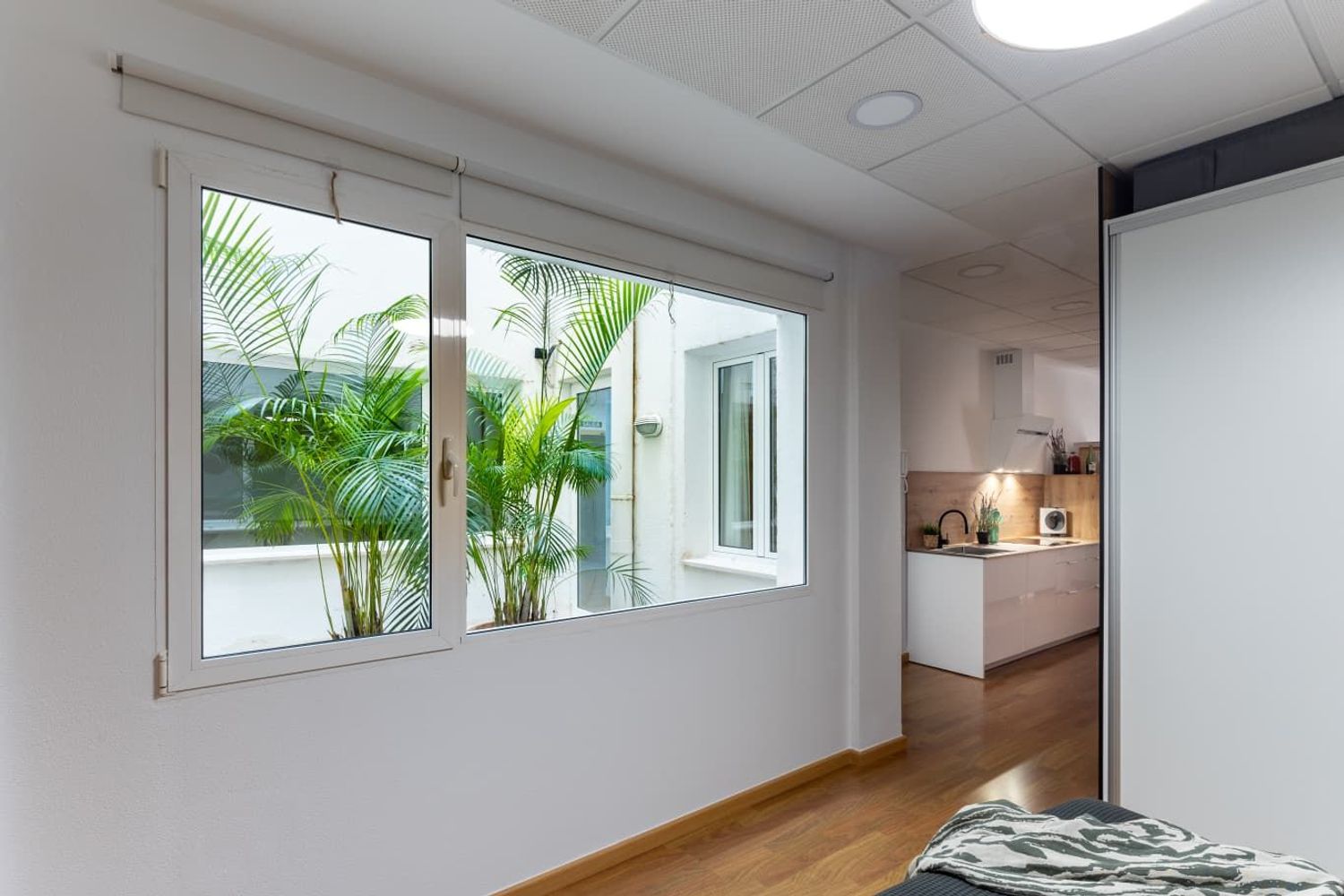 Estudio en calle Platería, 28 -1a - Foto 12