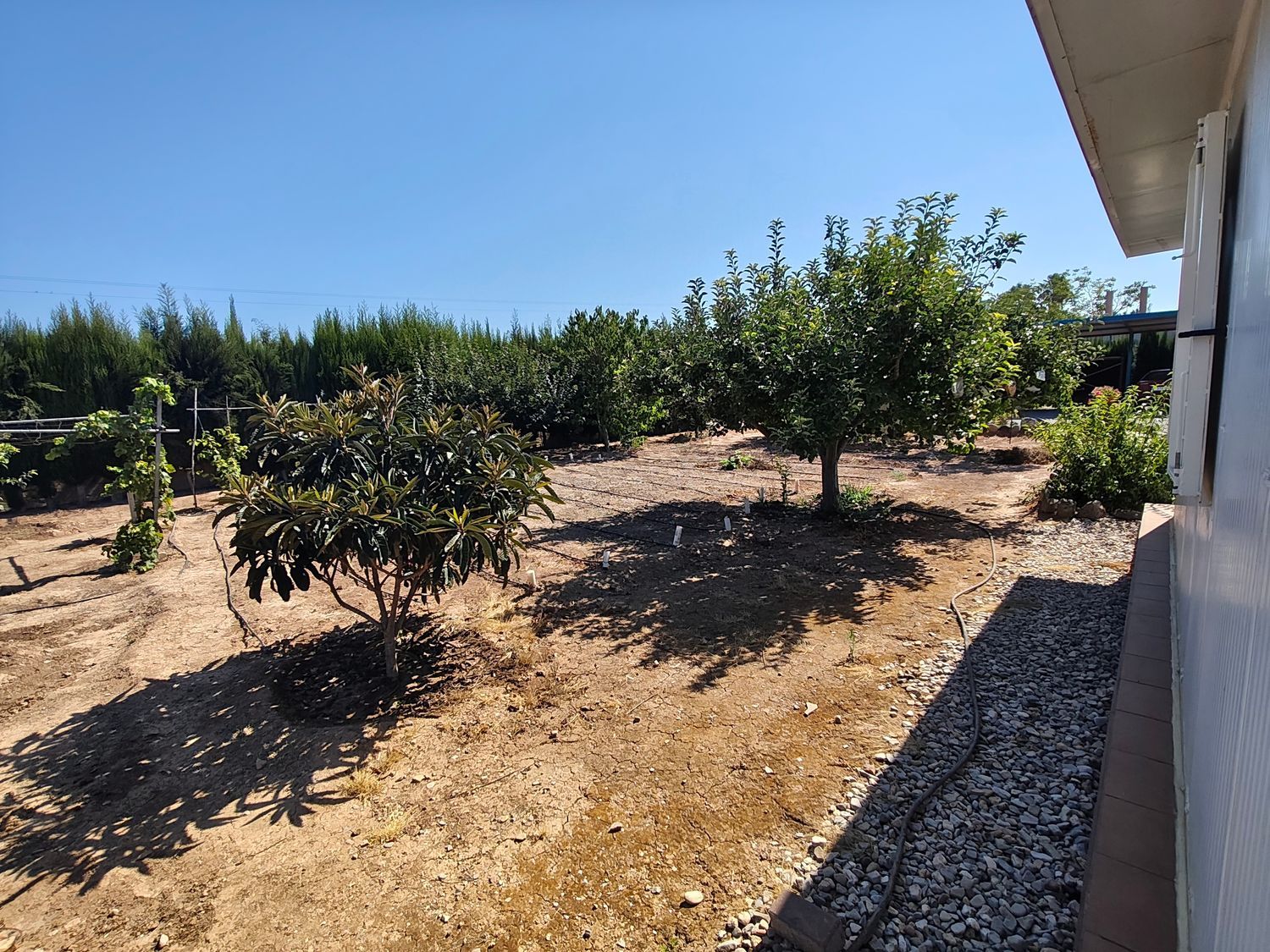 Finca rústica en Camino de Almarda, 11, Centro - El Castillo, Centro - El Castillo - Foto 12