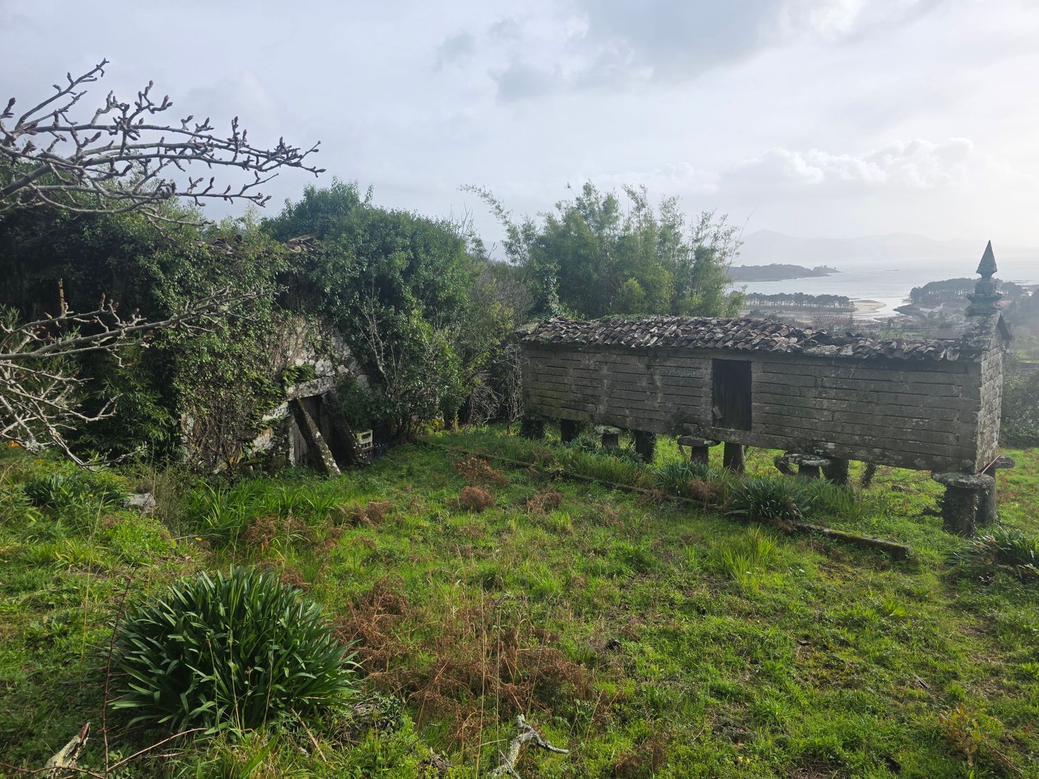 Caserón en pazo, 3 - Foto 12