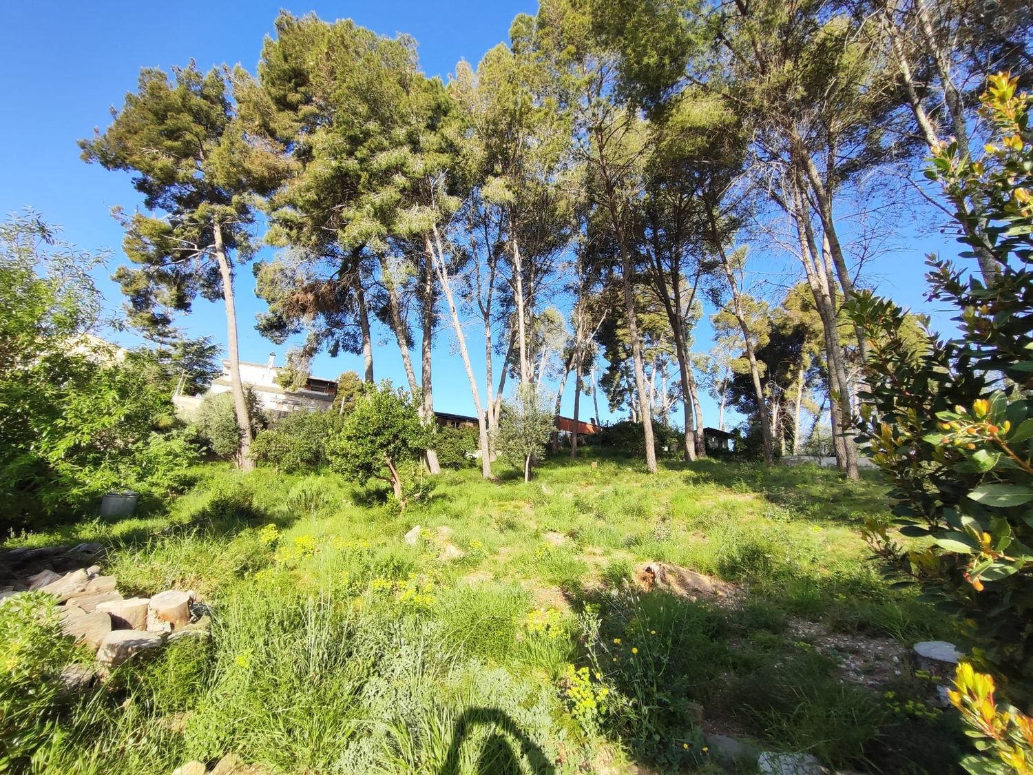 Casa o chalet independiente en Sant esteve Sesrovires - Foto 20