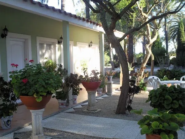 Casa o chalet independiente en Camino de la Piedra Escrita, 213 a, Algoda-Matola-Llano de San José, Algoda-Matola-Llano de San José - Foto 2