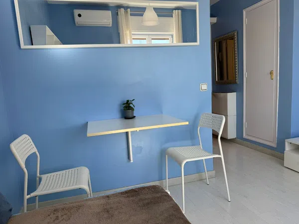 Estudio en Calle de Sánchez Pacheco, 16, Ciudad Jardín - Foto 3