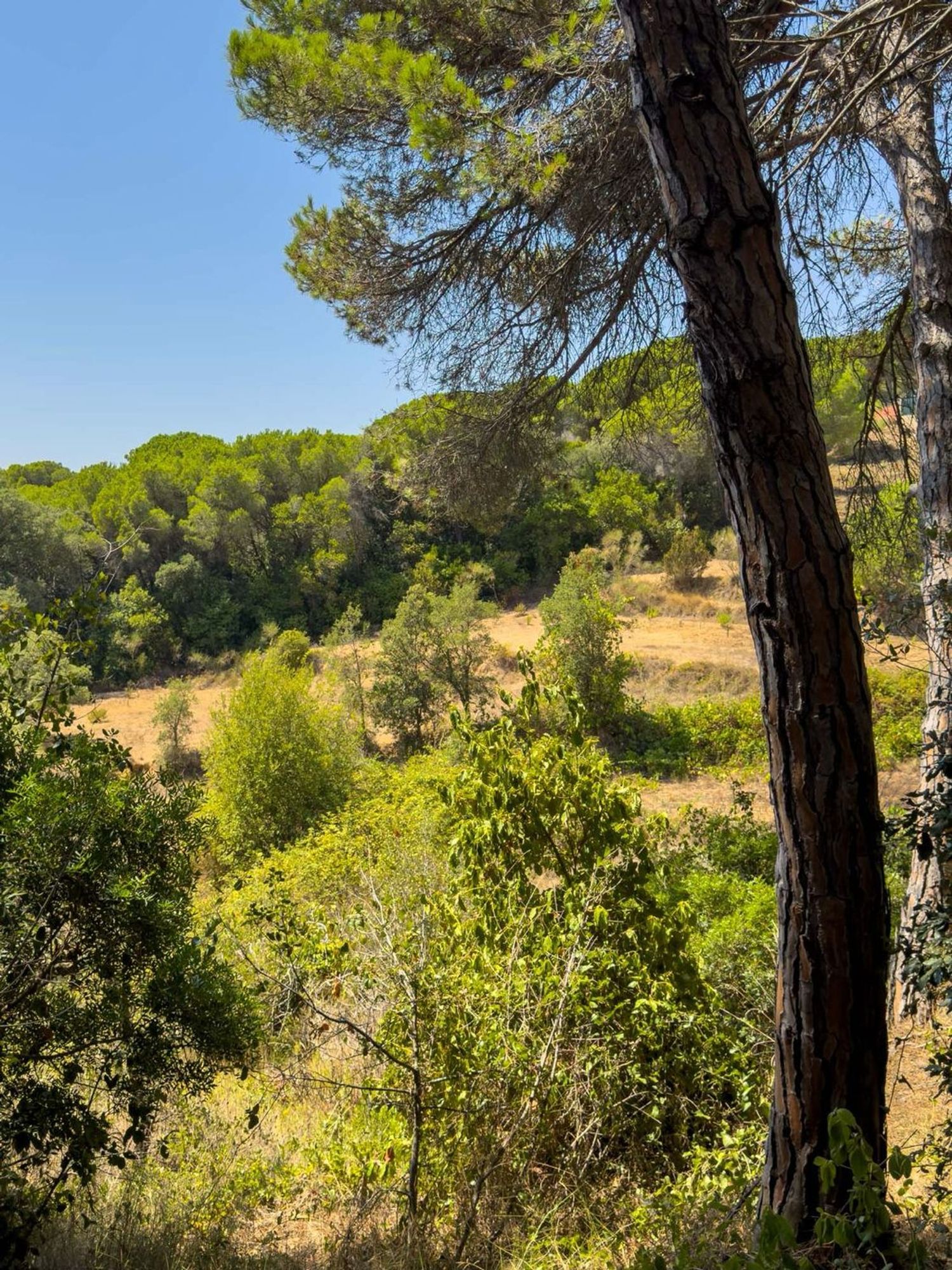 Masía en Masía en Diseminado Veinat de Sant Daniel, 104, Mas Mora - Sant Daniel, Mas Mora - Sant Daniel - Foto 13