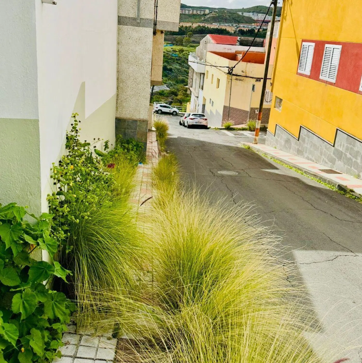 Piso en calle Poetisa Agustina Romero, 33 - Foto 13