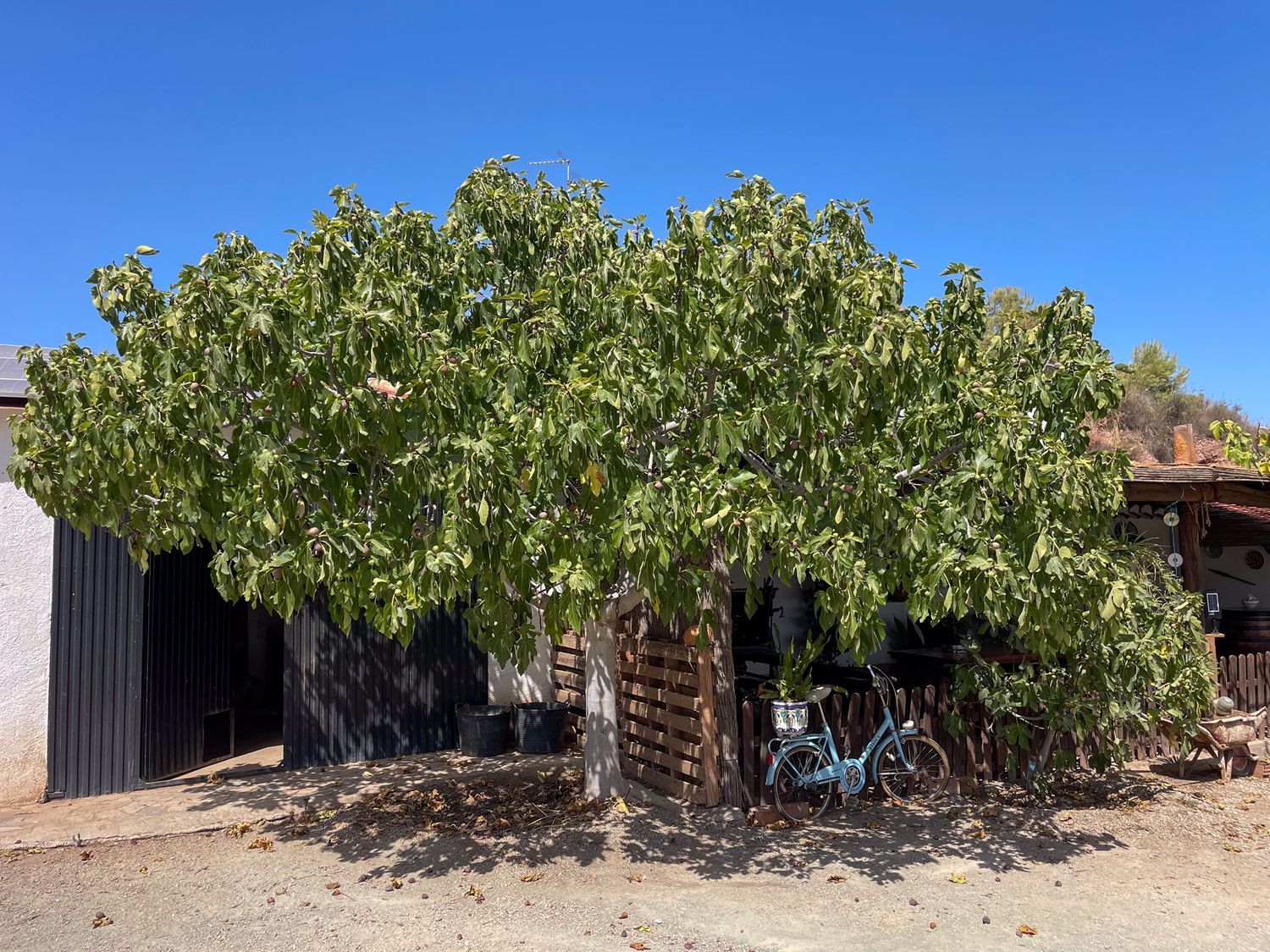 Casa rural en Unnamed Road s/n - Foto 28