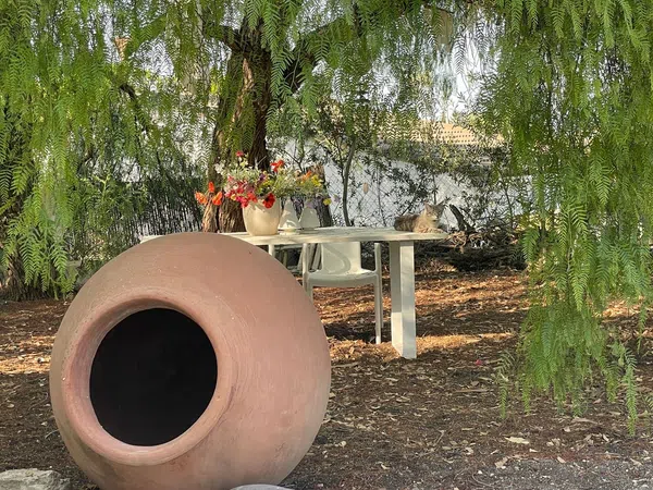 Casa rural en camino Veintitres, 12 Casa - Foto 22