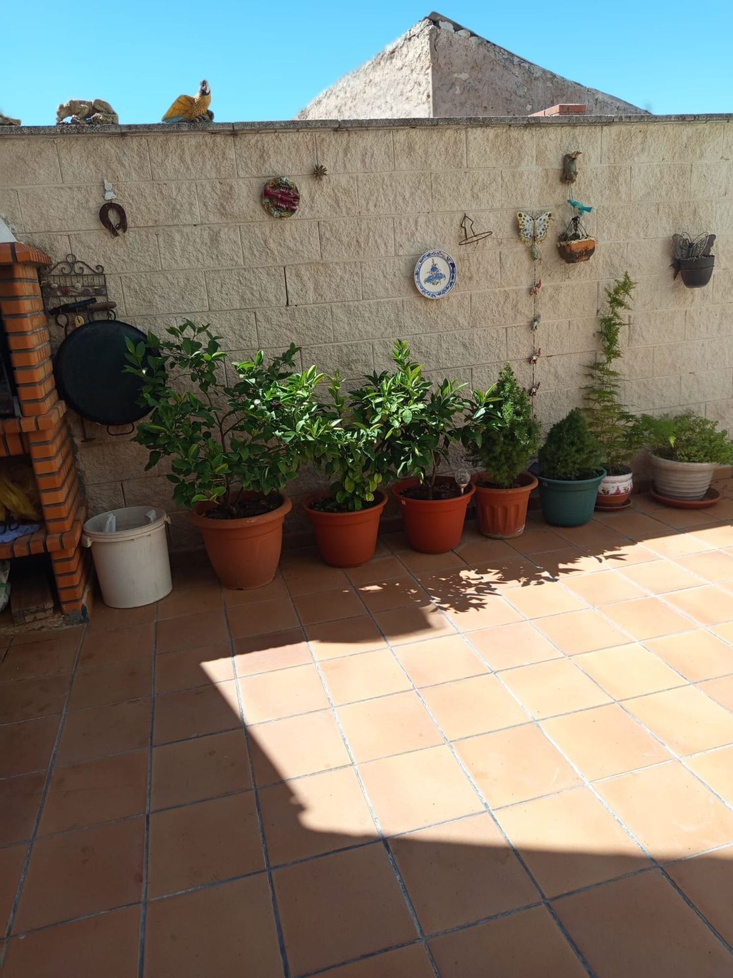 Casa de pueblo en Calle Coso s/n - Foto 18