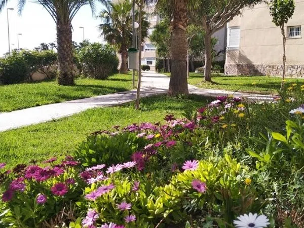 Piso en Músico José Mira Figueroa f8,3, 3, El Palmeral-Urbanova-Tabarca - Foto 15