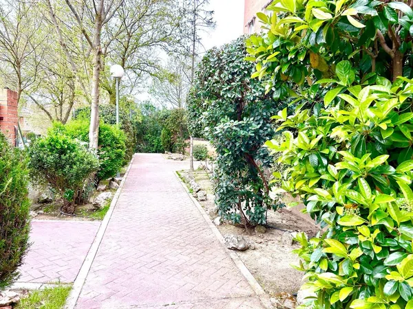 Piso en Calle Jacinto Benavente, 3, Sector b - Foto 16