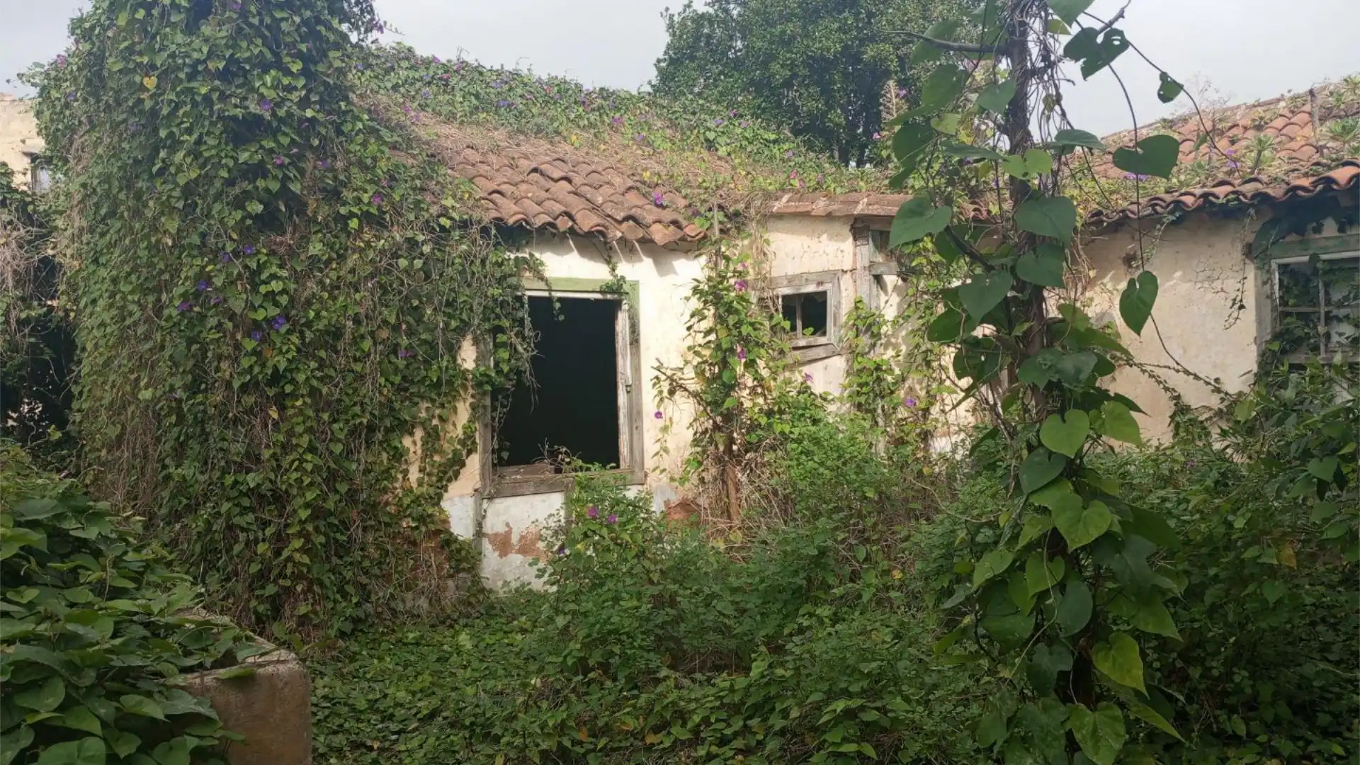 Chalet en  Calle la Caridad 113 - Foto 4