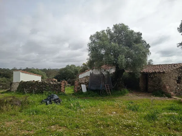 Finca rústica en Hv-1421 s/n - Foto 3
