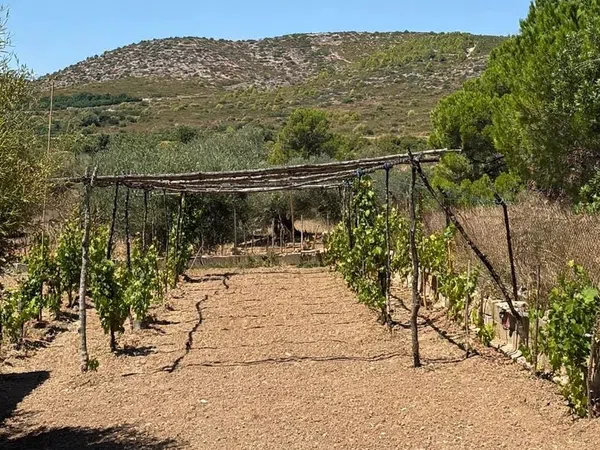 Finca rústica en Bovalar, 442, Zona Papa Luna, Zona Papa Luna - Foto 17