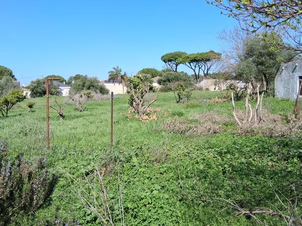 Casa independiente en calle Verbana, 40 Sn - Foto 5