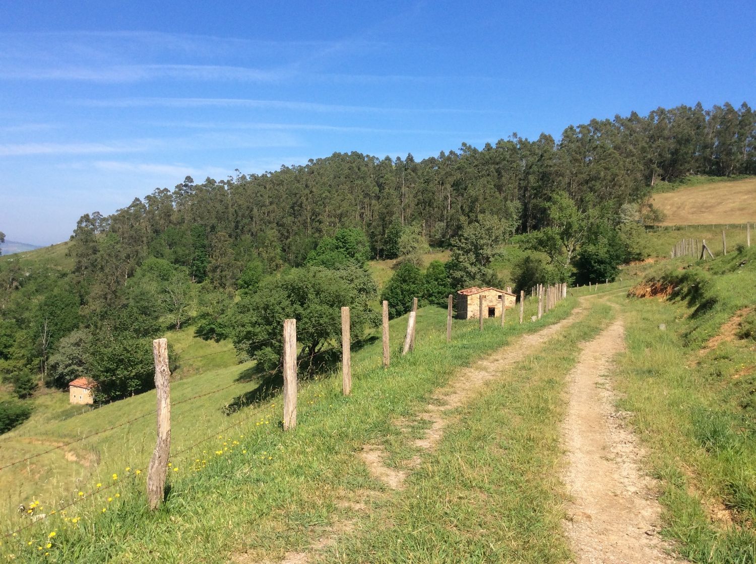 Finca rústica en Avenida Alisas, 5 - Foto 4