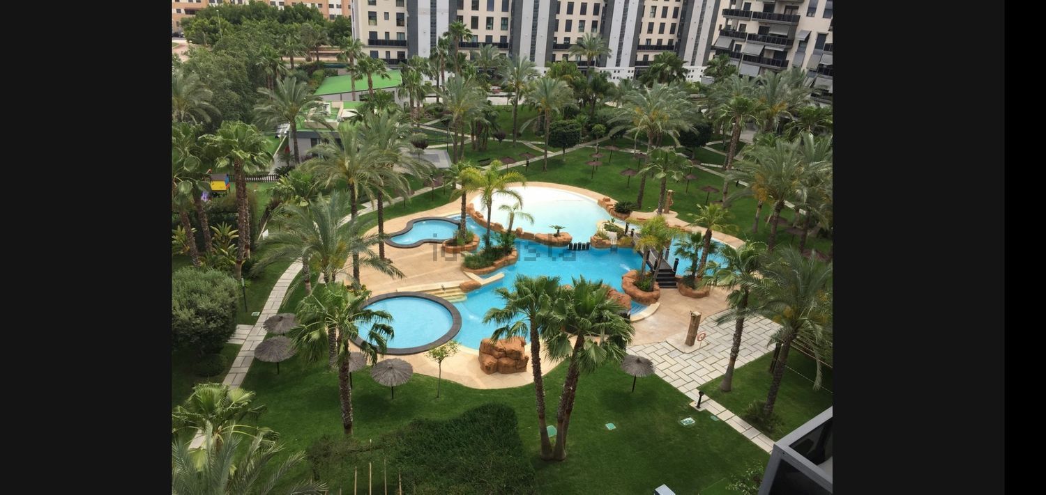 Piso en Historiador Vicente Ramos, 23 - Foto 7