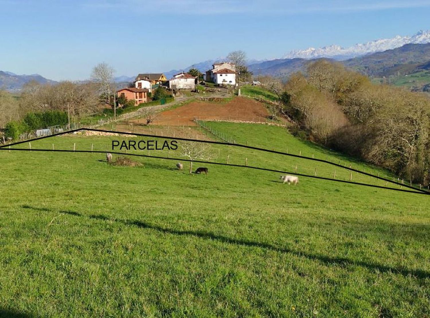 Casa o chalet independiente en Aldea Sorribes s/n - Foto 8