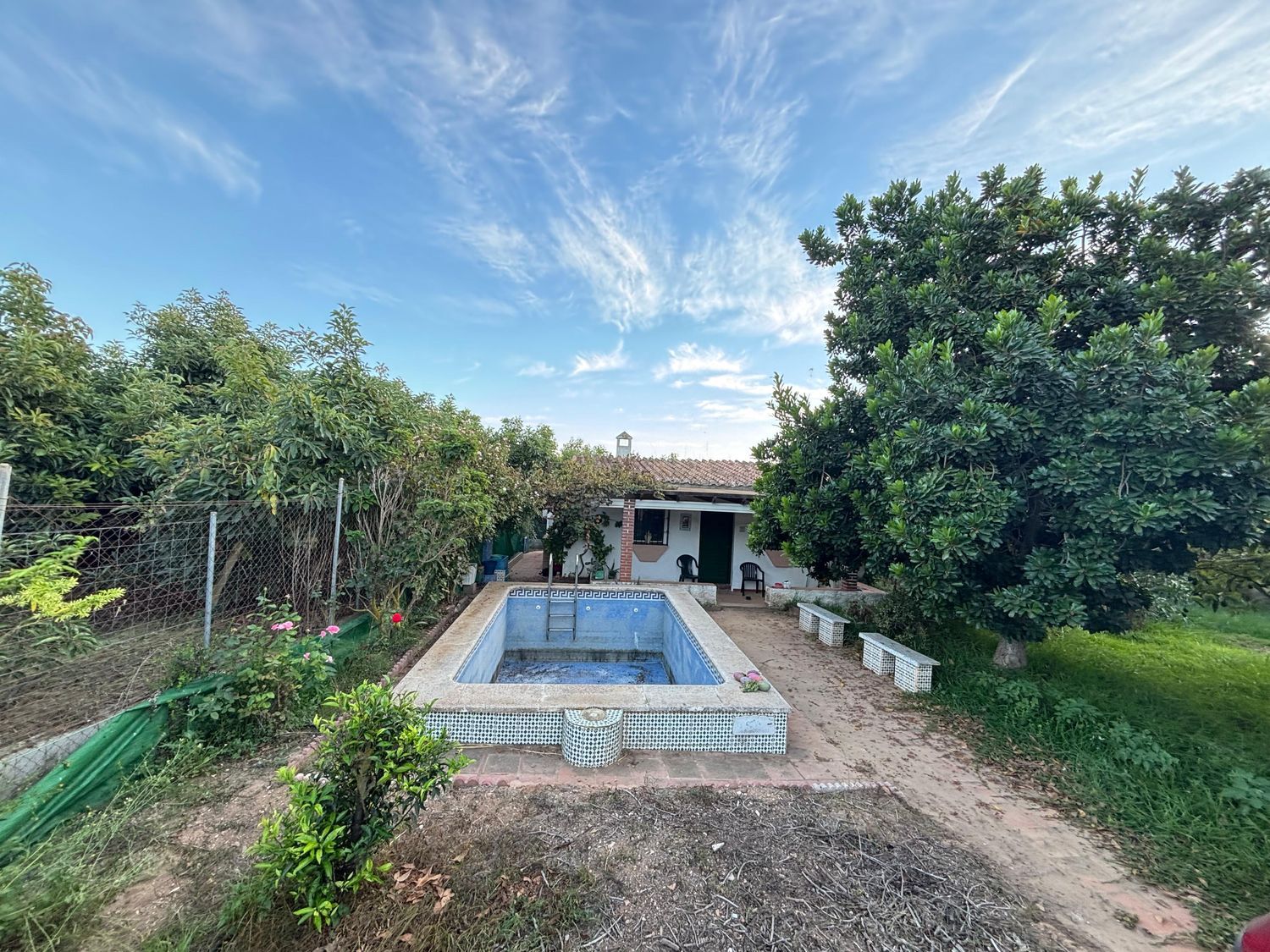 Finca rústica en Diseminado Diseminados, 544, Avda Pescia - Ctra de Frigiliana, Avda Pescia - Ctra de Frigiliana - Foto 2