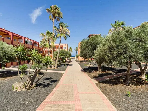 Piso en Calle Fimapaire, 1, Parque Holandés, Parque Holandés - Foto 15