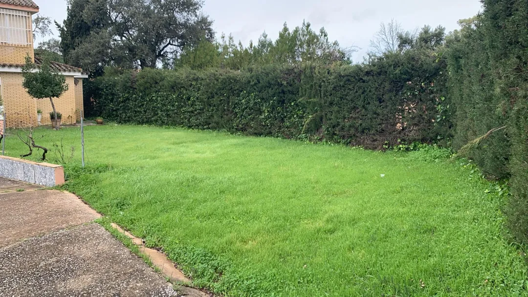 Chalet en  Plaza Residencial Chaparrito 122 - Foto 4