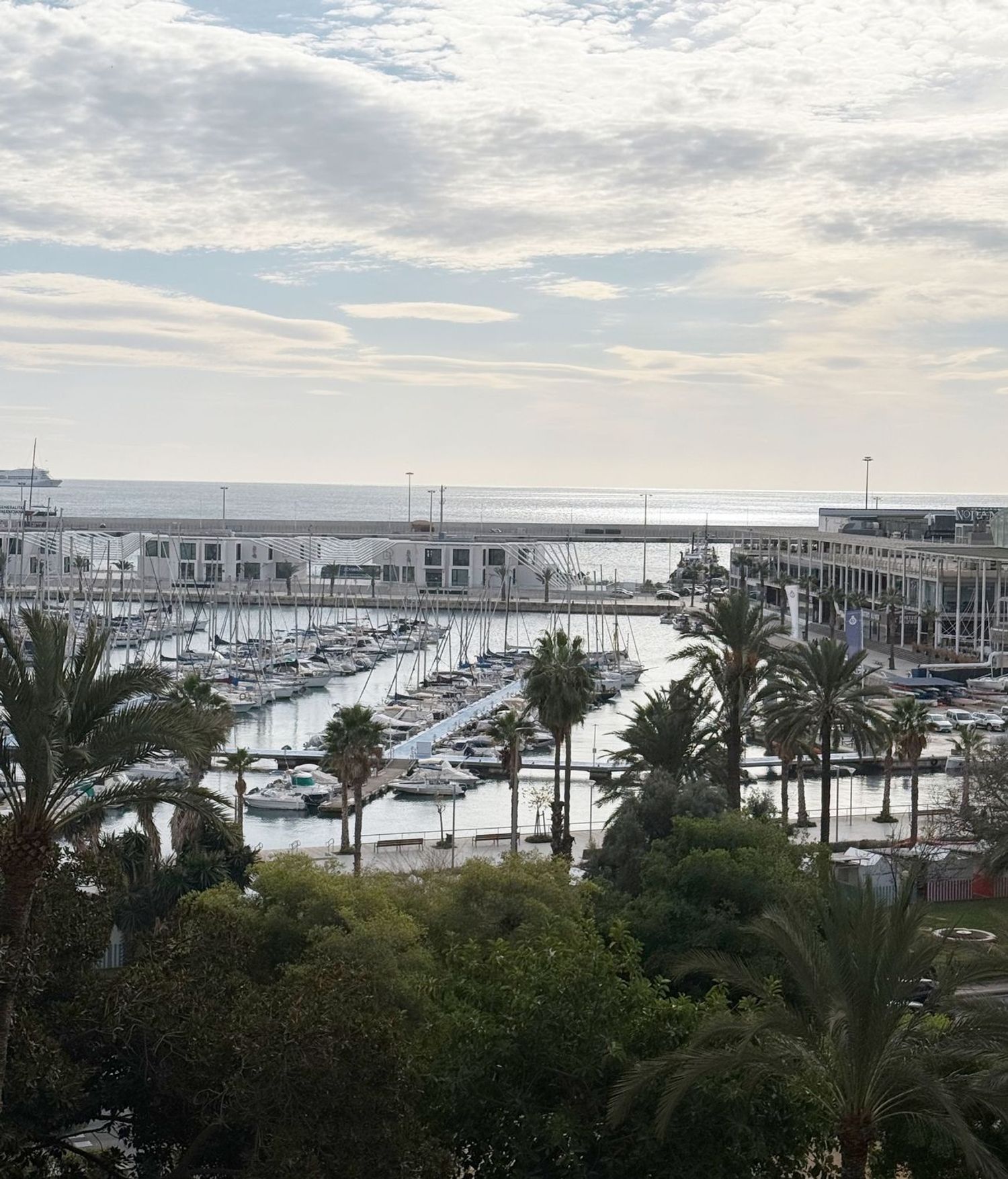 Piso en avenida del Doctor Gadea, 1 - Foto 1