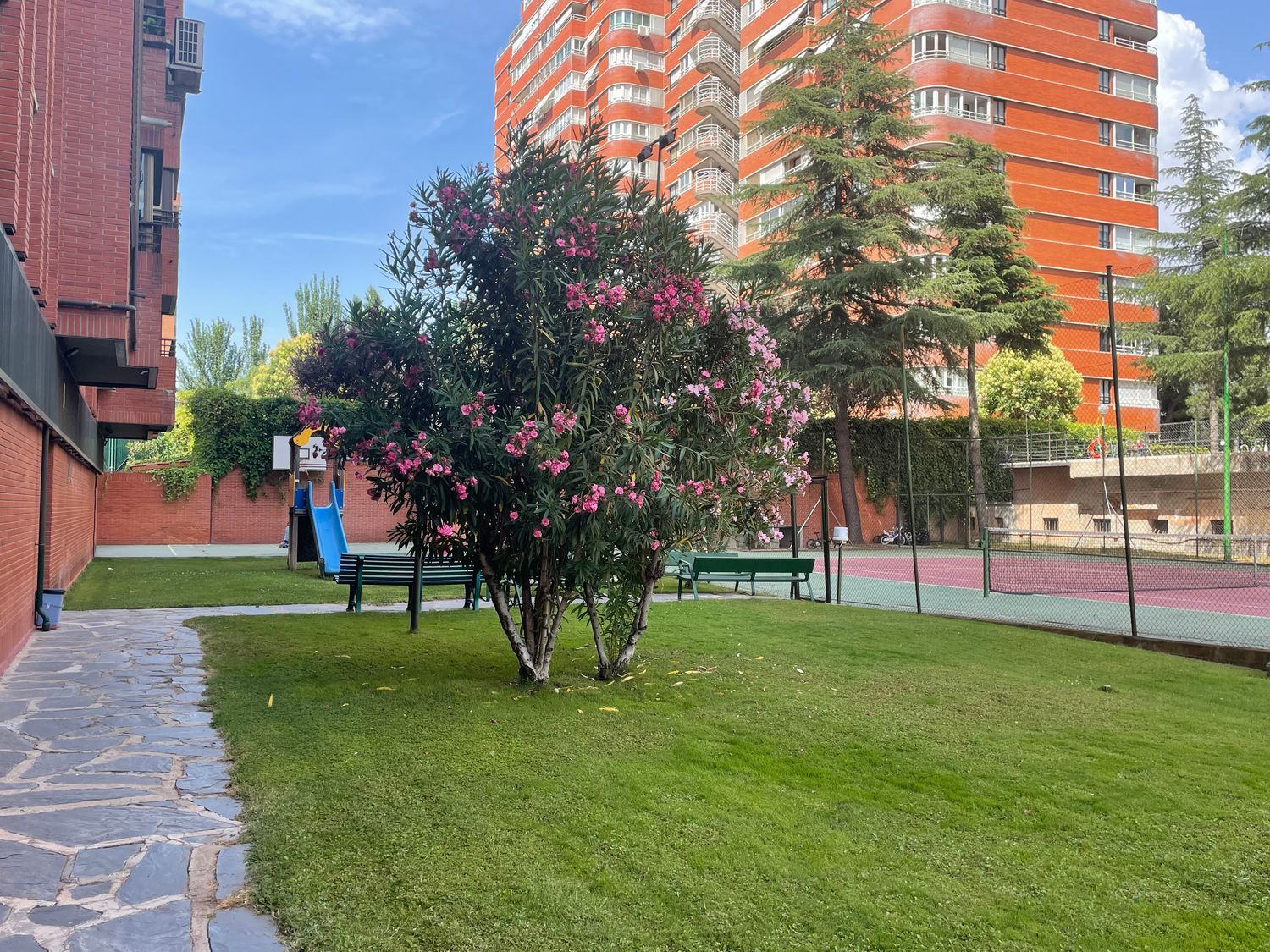 Ático en Avenida de Burgos, 40, Castilla - Foto 29