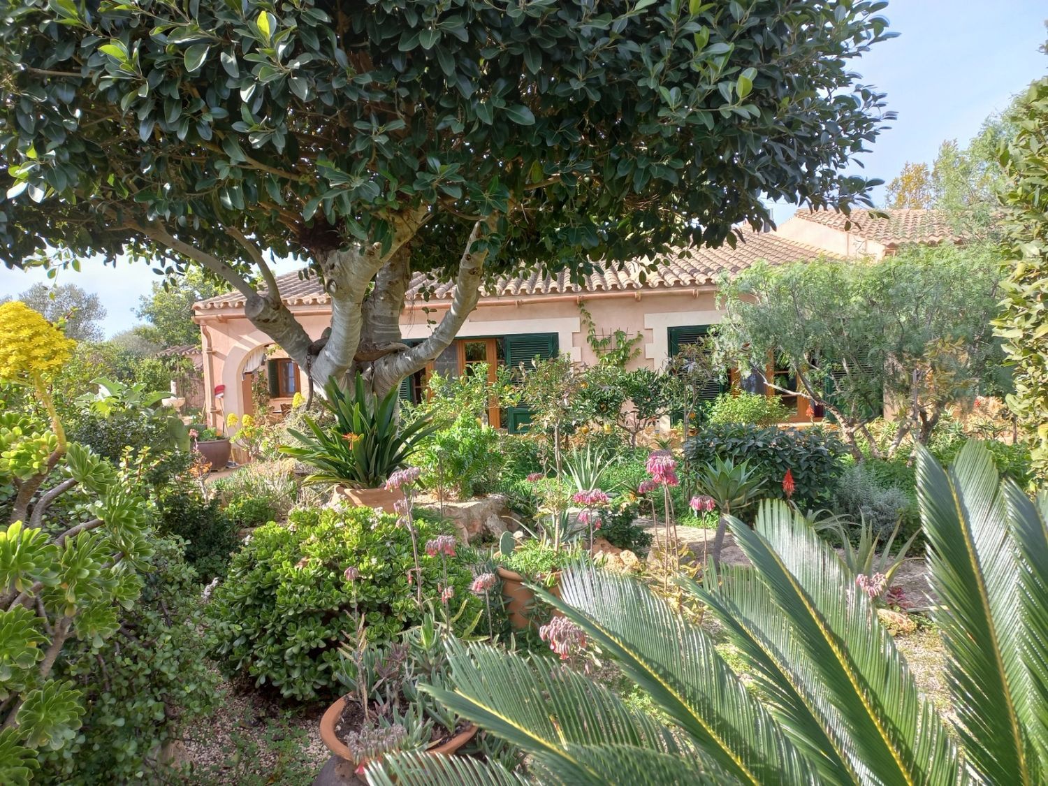 Finca rústica en camino de Empedrat, 96 - Foto 8