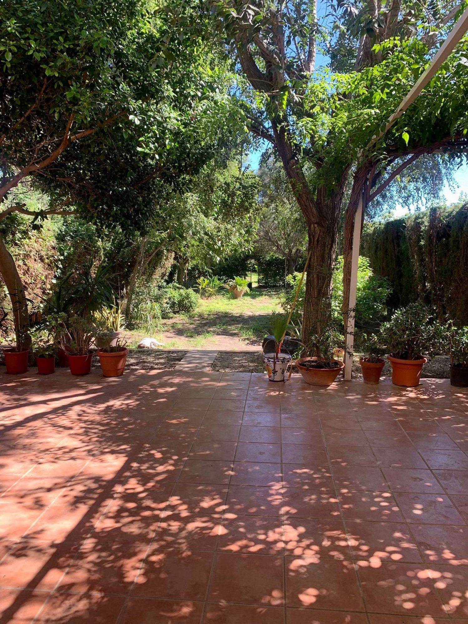 Chalet adosado en Calle l'Àguila, 12, Almajada-Ravel, Almajada-Ravel - Foto 10
