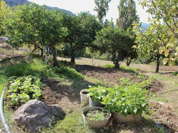 Casa rural en Avenida de Cadiz, 3 - Foto 35