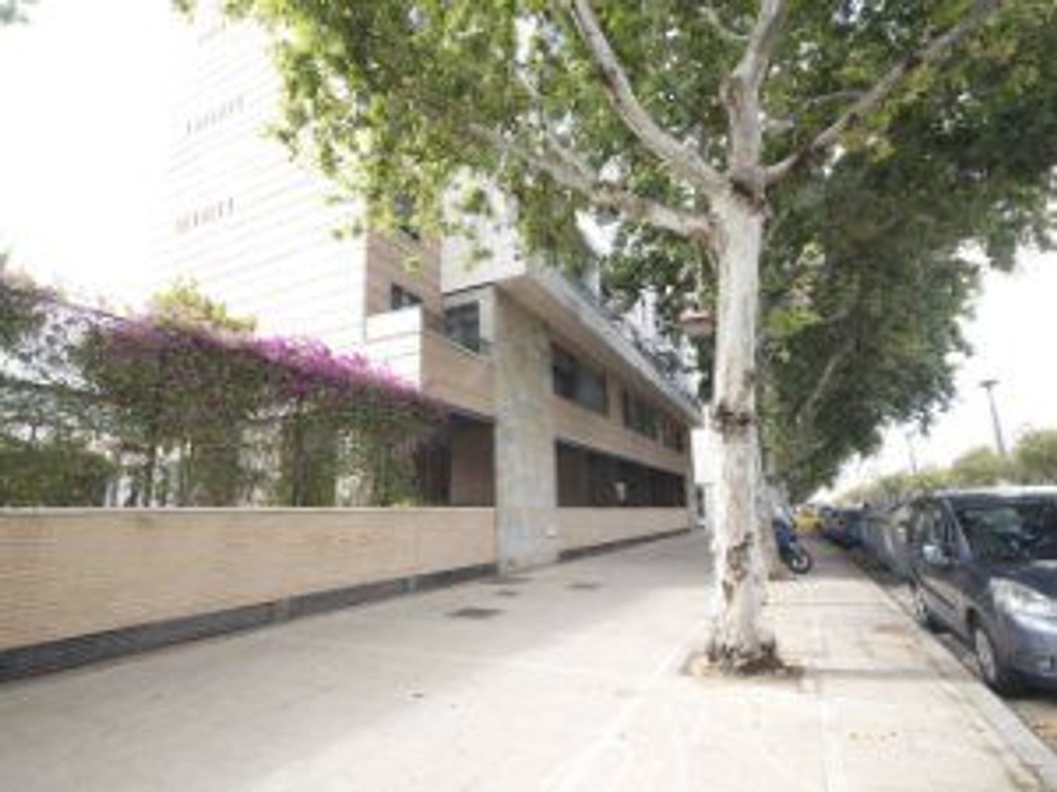 Alquiler de piso en Avenida Concejal Alberto Jiménez-Becerril, 26 - Foto 1