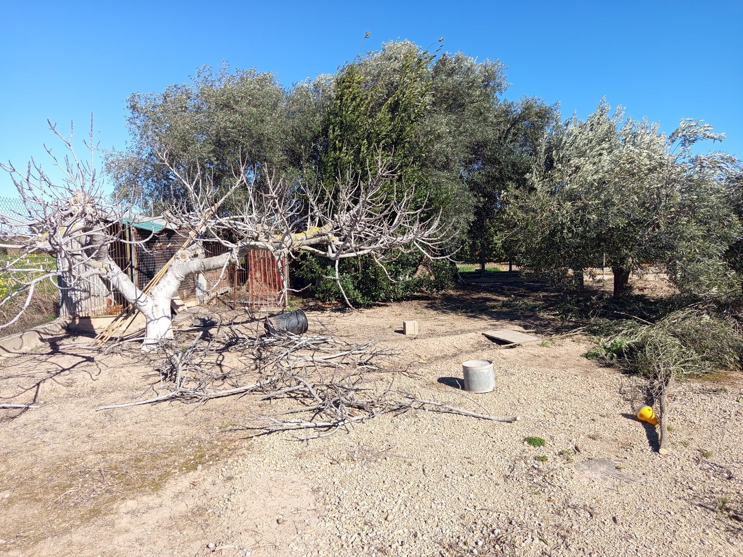 Finca rústica en plaza de Sant Isidre, 15 - Foto 27