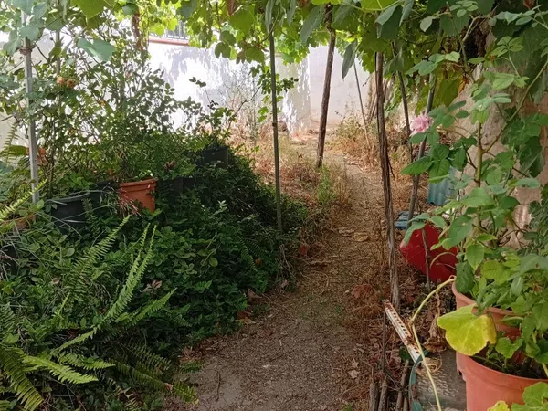 Finca rústica en Calle Galdames, 108, Ayamonte Pueblo, Ayamonte Pueblo - Foto 6