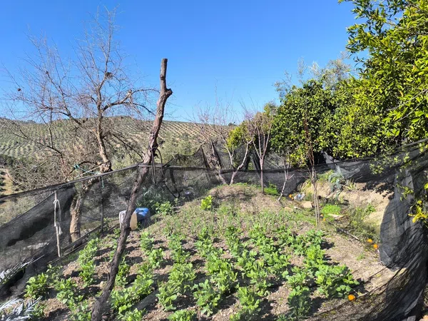 Cortijo en Via Sin Nombre s/n - Foto 36