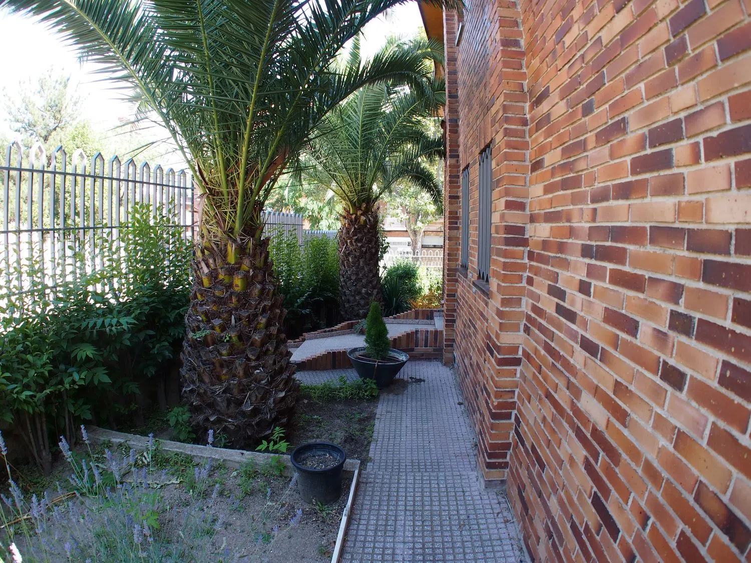 Casa independiente en calle de Mariano Díaz Alonso, 1 - Foto 4