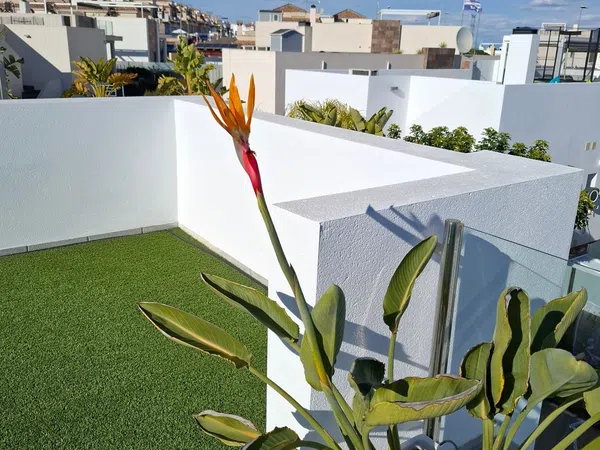 Casa o chalet independiente en Calle Nalón, 2 - Foto 25