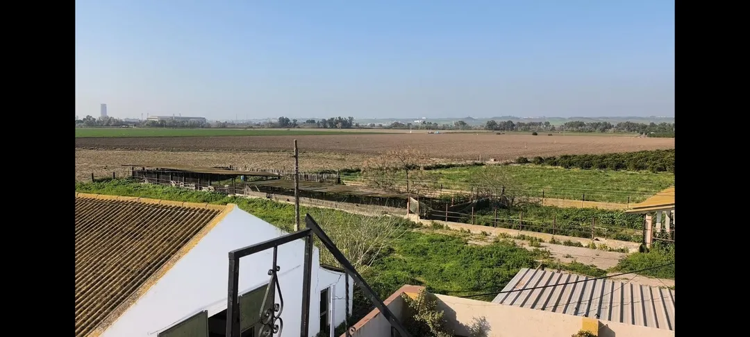 Finca rústica en  Carretera Sevilla 3 - Foto 2