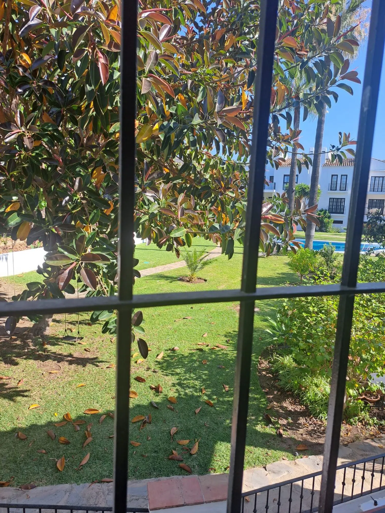 Estudio en avenida del Prado, 40 - Foto 4